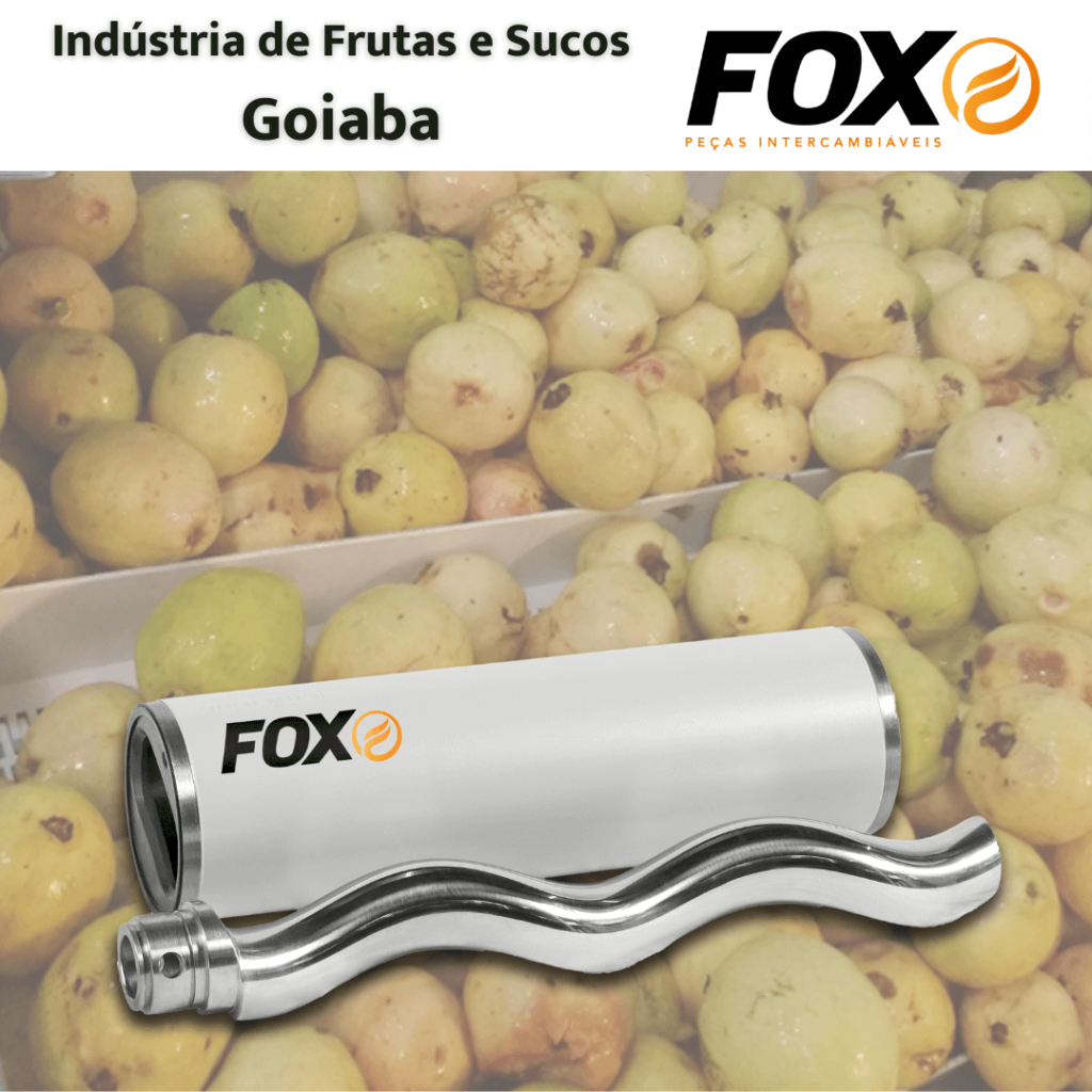 Indústria de Frutas e Sucos Goiaba
