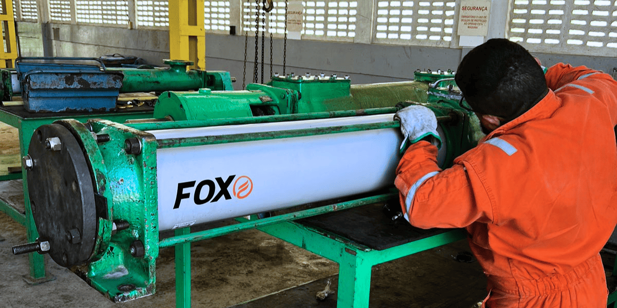 Especialista da FOX analisando bomba helicoidal junto à equipe de manutenção em ambiente industrial