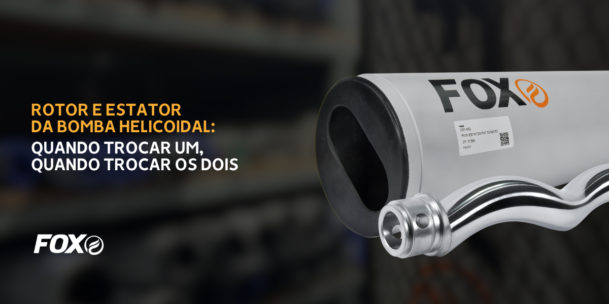 Rotor e estator da bomba helicoidal: quando trocar um, quando trocar os dois